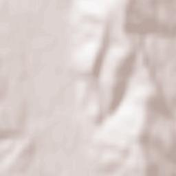 Tănăsoaia Terrain Map