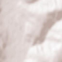 Comuna Tănăsoaia Terrain Map