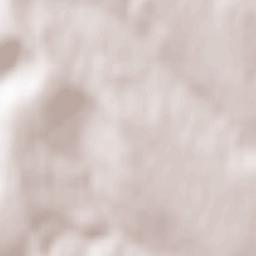 Priponeşti Terrain Map