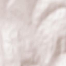 Bălăşeşti Terrain Map