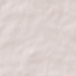 Ciré-d’Aunis Terrain Map