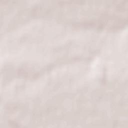 Pouilly-les-Nonains Terrain Map