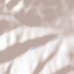 Le Perréon Terrain Map