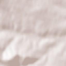 Saint-Étienne-des-Oullières Terrain Map