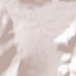 Pergine Valsugana Terrain Map