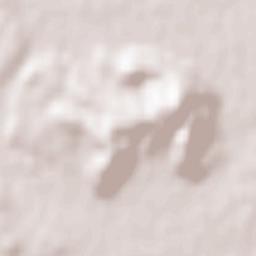 Rožnik District Terrain Map