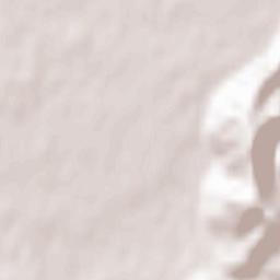 Opština Ljubljana-Moste-Polje Terrain Map