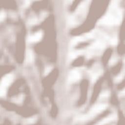 Comuna Petriş Terrain Map