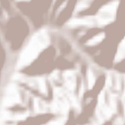 Comuna Zam Terrain Map