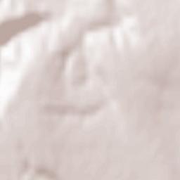 Viișoara Terrain Map