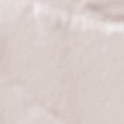 Rugineşti Terrain Map