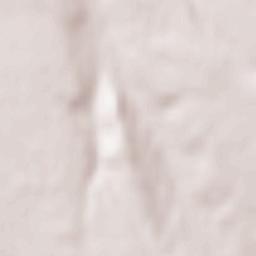 Pochidia Terrain Map