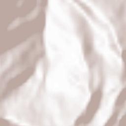 Entremont District Terrain Map