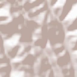 Comuna Vorţa Terrain Map