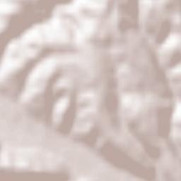 Câmpurile de Jos Terrain Map