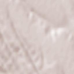 Comuna Păuneşti Terrain Map