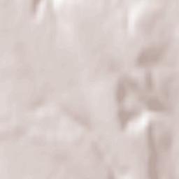 Brăhășești Terrain Map