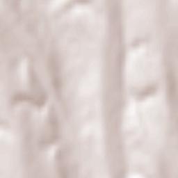 Balintești Terrain Map