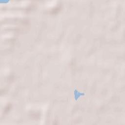 Ambérieux-en-Dombes Terrain Map