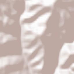 Ceru-Băcăinţi Terrain Map