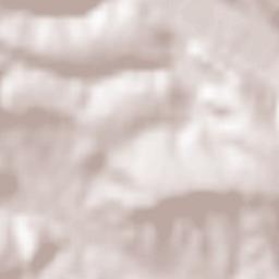 Vizantea-Mânăstirească Terrain Map