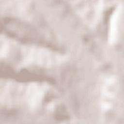 Fitioneşti Terrain Map