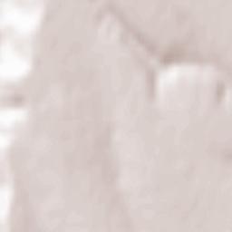 Comuna Poiana Terrain Map