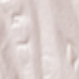 Jorăşti Terrain Map