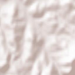 Amplepuis Terrain Map