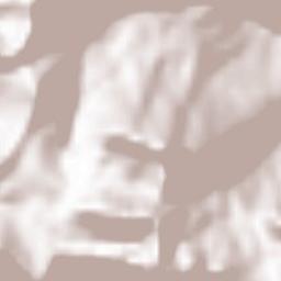 Valtorta Terrain Map