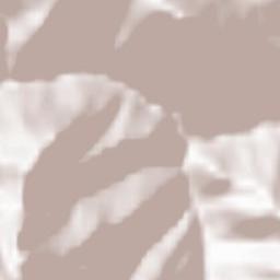 Cassiglio Terrain Map