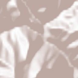 Olmo al Brembo Terrain Map