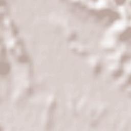 Šentrupert Terrain Map