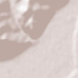 Blândiana Terrain Map