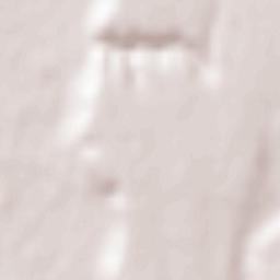 Negrilești Terrain Map