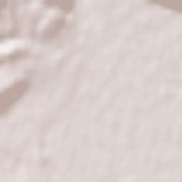 Leskovec pri Krškem Terrain Map