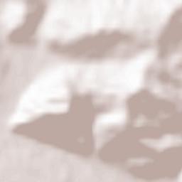 Comuna Şoimuş Terrain Map