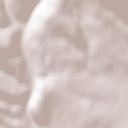 Comuna Valea Crişului Terrain Map