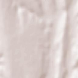 Băneasa Terrain Map