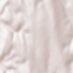 Comuna Băneasa Terrain Map