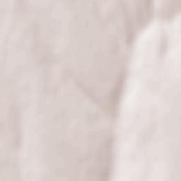 Novi Troyany Terrain Map