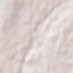 Sackville Terrain Map