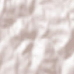 Saint-Just-la-Pendue Terrain Map