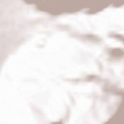 Bolognano-Vignole Terrain Map