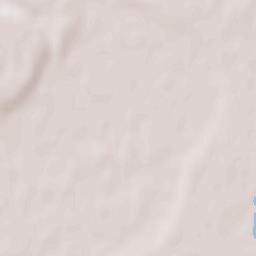 Bački Breg Terrain Map