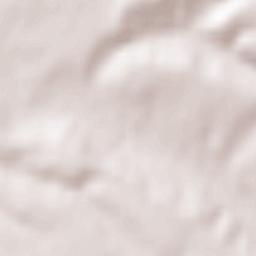 Comuna Pişchia Terrain Map