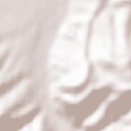 Pianu de Sus Terrain Map