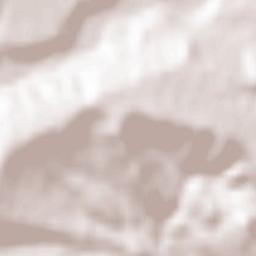 Păulești Terrain Map