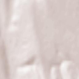 Vârlezi Terrain Map