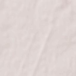 Fastovetskaya Terrain Map